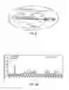 Fig. 07 - GENE AMPLIFICATION OF COACTIVATOR COAA AND USES THEREOF