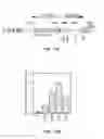 Fig. 13 - GENE AMPLIFICATION OF COACTIVATOR COAA AND USES THEREOF