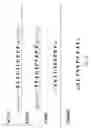 Fig. 05 - Antibodies to complementary peptides of thrombin or portions thereof