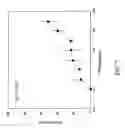 Fig. 08 - Antibodies to complementary peptides of thrombin or portions thereof