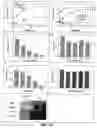 Fig. 15 - Cross-β structure comprising amyloid-binding proteins and methods for detection of the cross-β structure, for modulating cross-β structures fiber formation and modulating cross-β structure-mediated toxicity