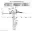 Fig. 18 - Ligands that bind a receptor