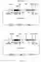 Fig. 23 - Ligands that bind a receptor