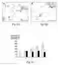 Fig. 09 - Transmembrane protein amigo and uses thereof