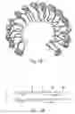 Fig. 13 - Transmembrane protein amigo and uses thereof