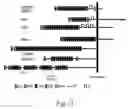 Fig. 15 - Transmembrane protein amigo and uses thereof