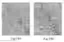 Fig. 19 - Transmembrane protein amigo and uses thereof