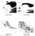 Fig. 20 - Transmembrane protein amigo and uses thereof