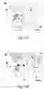 Fig. 24 - Transmembrane protein amigo and uses thereof