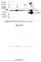Fig. 26 - Transmembrane protein amigo and uses thereof
