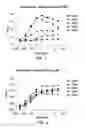 Fig. 02 - Vaccines based on targeting antigen to DCIR expressed on antigen-presenting cells