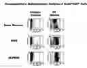 Fig. 01 - Stem cell populations and methods of use