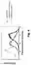 Fig. 05 - Methods of using B7-DC molecules to induce or enhance an immune response