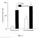 Fig. 10 - Method for rapid generation of mature dendritic cells
