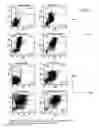 Fig. 11 - Method for rapid generation of mature dendritic cells