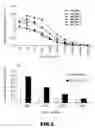 Fig. 03 - Idiotypic vaccine