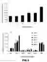 Fig. 04 - Idiotypic vaccine
