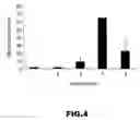 Fig. 05 - Idiotypic vaccine