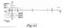 Fig. 04 - NOVEL HUMAN GENE FUNCTIONALLY RELATED TO DYSLEXIA