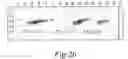 Fig. 06 - NOVEL HUMAN GENE FUNCTIONALLY RELATED TO DYSLEXIA
