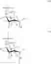 Fig. 04 - Liquid vaccines for multiple meningococcal serogroups