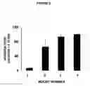 Fig. 03 - Process for the preparation and use of a bivalent vaccine against morphine-heroine addiction