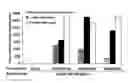 Fig. 01 - Sequential delivery of immunogenic molecules via adenovirus and adeno-associated virus-mediated administrations