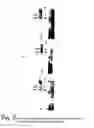 Fig. 03 - Artificial invaplex