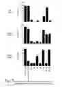 Fig. 08 - Artificial invaplex