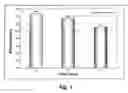 Fig. 02 - Multifunctional Cosmetic Composition, Process For Preparing Said Cosmetic Composition and Cosmetic Product