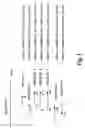 Fig. 02 - Methods and materials relating to novel stem cell growth factor-like polypeptides and polynucleotides