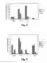Fig. 05 - Methods and materials relating to novel stem cell growth factor-like polypeptides and polynucleotides
