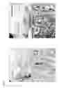 Fig. 07 - Methods, Compositions and Devices For Promoting Anglogenesis