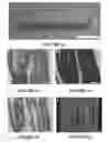Fig. 02 - System and method for forming bone, ligament, and bone-ligament constructs