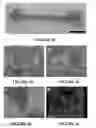 Fig. 05 - System and method for forming bone, ligament, and bone-ligament constructs