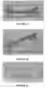 Fig. 07 - System and method for forming bone, ligament, and bone-ligament constructs
