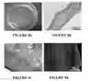 Fig. 09 - System and method for forming bone, ligament, and bone-ligament constructs
