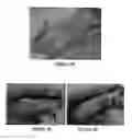 Fig. 03 - Wound healing agent and composition