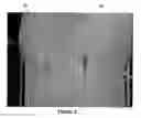 Fig. 07 - Wound healing agent and composition