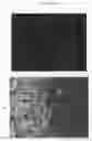 Fig. 09 - Hydrogel-metal assembly