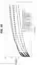 Fig. 28 - LOCAL VASCULAR DELIVERY OF PROBUCOL ALONE OR IN COMBINATION WITH SIROLIMUS TO TREAT RESTENOSIS, VULNERABLE PLAQUE, AAA AND STROKE