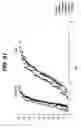 Fig. 61 - LOCAL VASCULAR DELIVERY OF PROBUCOL ALONE OR IN COMBINATION WITH SIROLIMUS TO TREAT RESTENOSIS, VULNERABLE PLAQUE, AAA AND STROKE