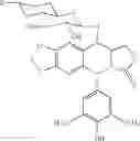 Fig. 19 - COMPOSITIONS AND METHODS FOR COATING MEDICAL IMPLANTS