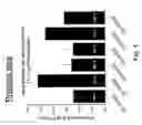 Fig. 05 - Preservation of bioactive materials by freeze dried foam