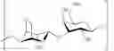 Fig. 07 - IN VIVO BIOREACTORS AND METHODS OF MAKING AND USING SAME