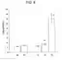 Fig. 08 - TARGETED ACTIVE AGENT DELIVERY SYSTEM BASED ON CALCIUM PHOSPHATE NANOPARTICLES