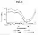 Fig. 09 - TARGETED ACTIVE AGENT DELIVERY SYSTEM BASED ON CALCIUM PHOSPHATE NANOPARTICLES