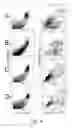 Fig. 05 - TREATMENT OF DISEASES WITH NANOPARTICLES HAVING A SIZE-DEPENDENT CYTOTOXICITY