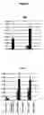 Fig. 05 - Method for production of bioresorbable microparticles, microparticles thus obtained and use thereof