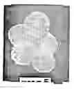 Fig. 01 - Nanoshells and Discrete Polymer-Coated Nanoshells, Methods For Making and Using Same